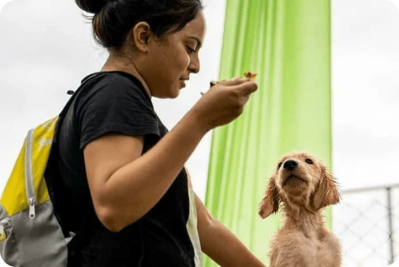 Pawspace-Hosts-and-sitter3