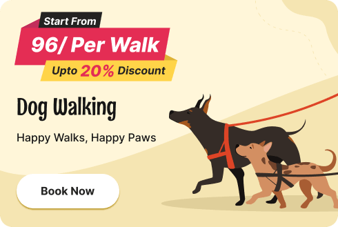 petsoffer1 (1)