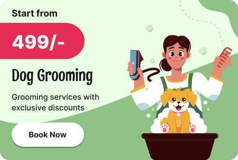 petsoffer3