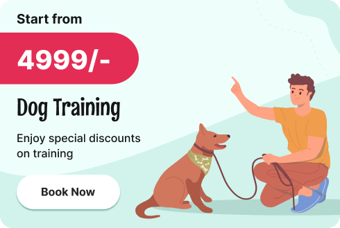 petsoffer5